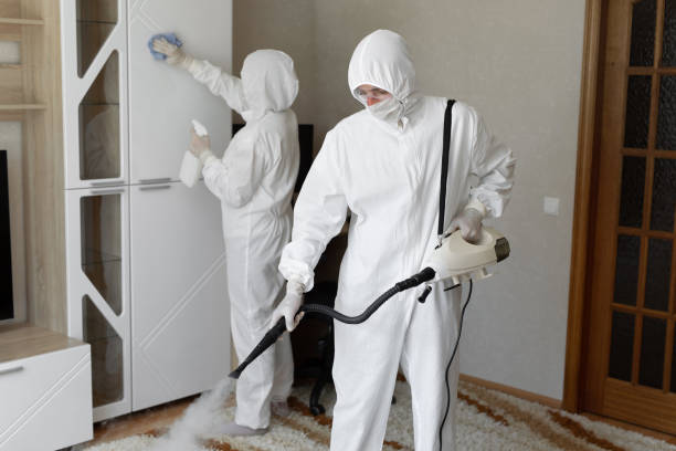 Best Certified Mold Removal  in Towanda, KS