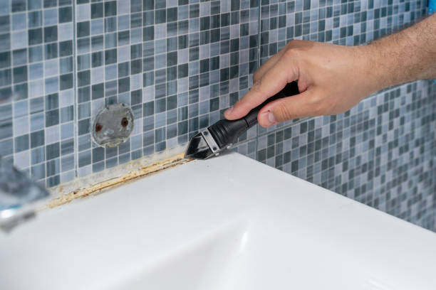 Best Mold Removal Company Near Me  in Towanda, KS